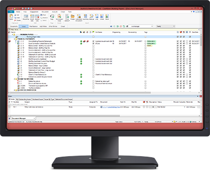 CaseWare Adria Solution Working Papers CaseWare Adria